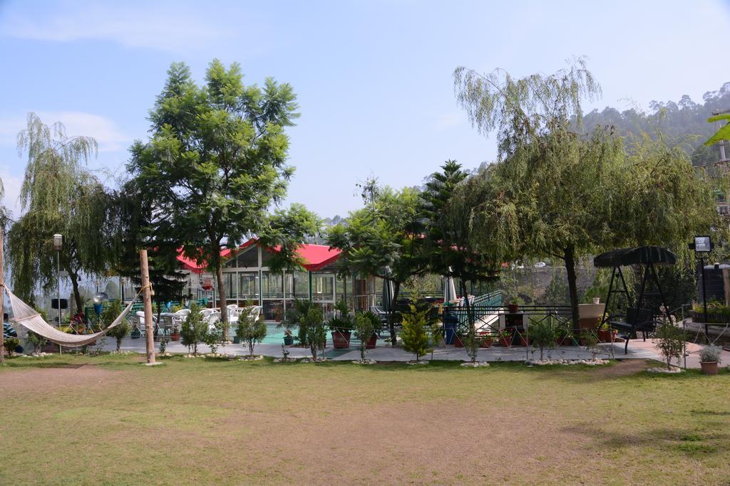 Maple Resort Chail Exterior photo