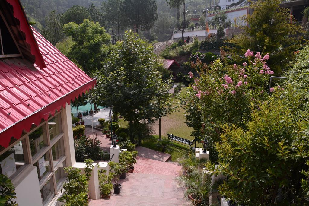 Maple Resort Chail Exterior photo