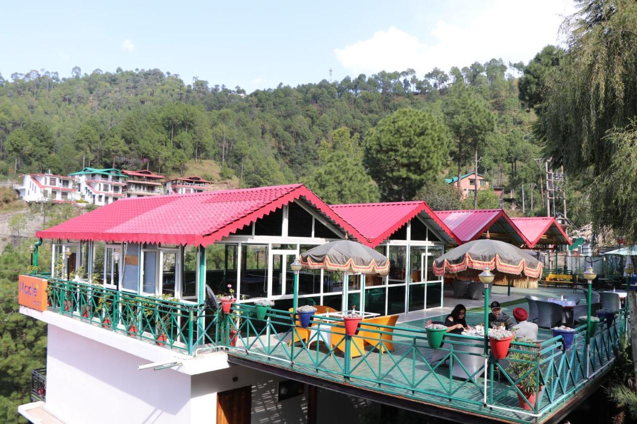 Maple Resort Chail Exterior photo