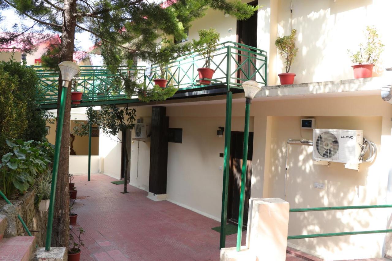 Maple Resort Chail Exterior photo