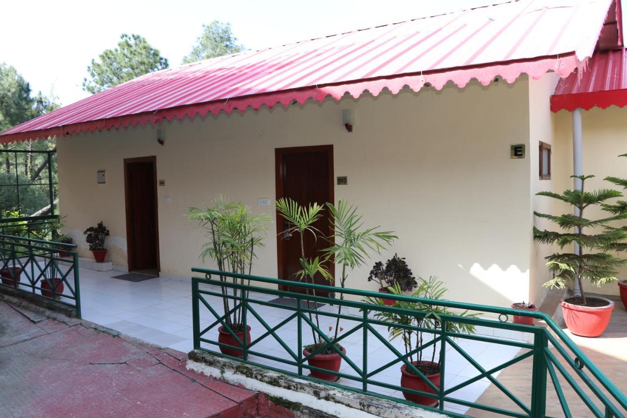 Maple Resort Chail Exterior photo